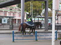 2010-10-24 08.18.01.JPG 